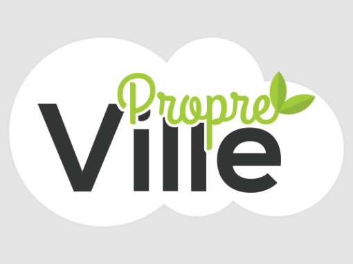 Ville Propre (Website)